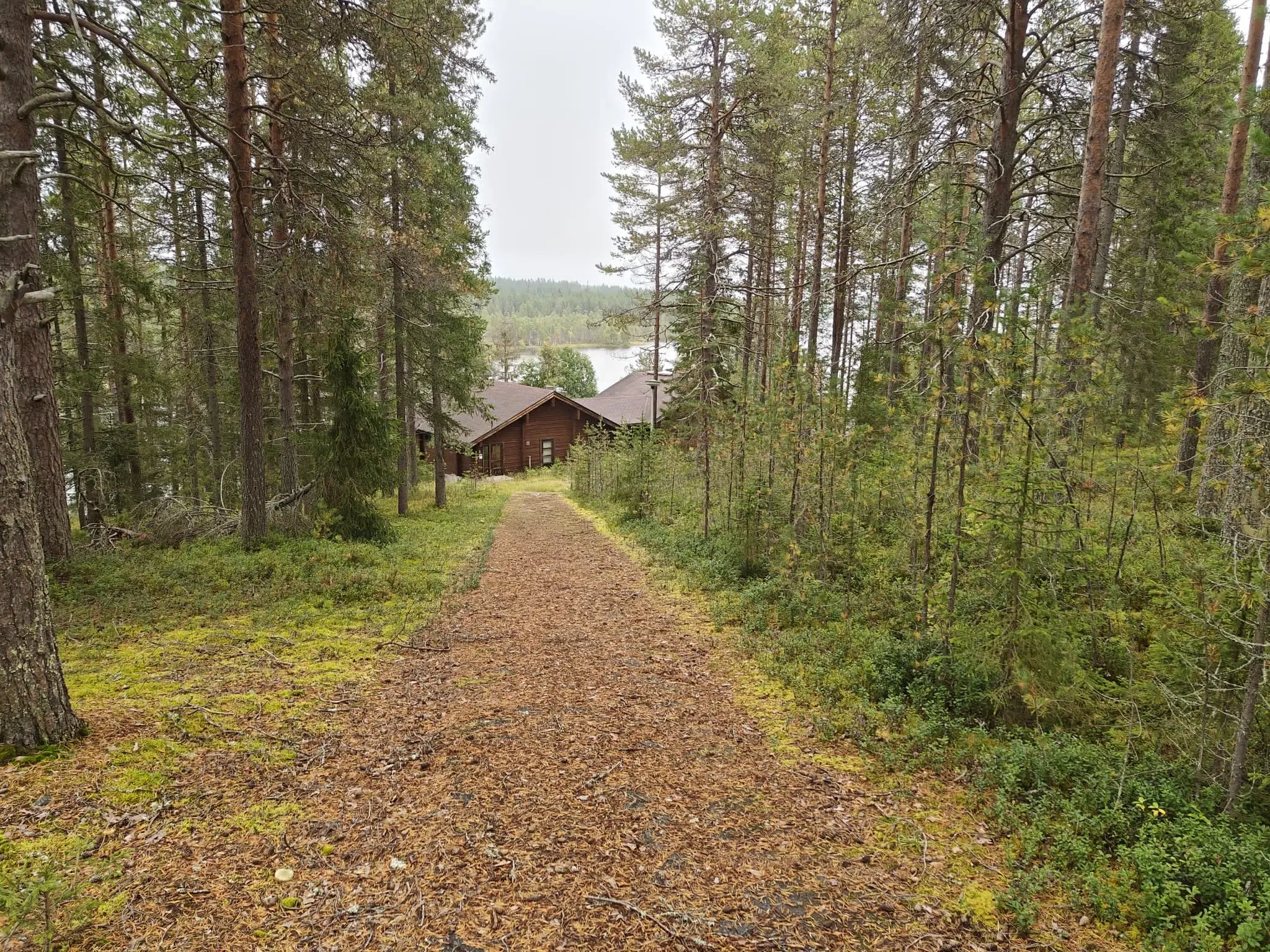 PARTNERVEILING - Uniek gelegen vakantieresort in Livaara - Finland