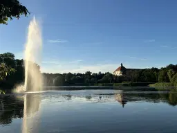 Perceel bosgrond in Zedlitz - Borna - Duitsland