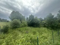 Perceel grond met jachthut van 3.320 m2 in Friedrichroda - Duitsland