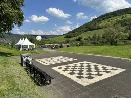 Gebruiksklare wijngaarden in Cochem - Bremm - Duitsland