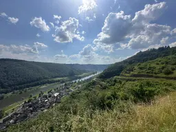 Gebruiksklare wijngaarden in Cochem - Bremm - Duitsland