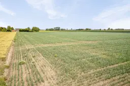 Bouwland (akkerbouw) in de Passageulepolder te Sint Kruis, gemeente Sluis