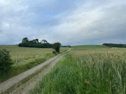 Natuur pur sang: klein groen perceel van 940 m2 - Triebel/Vogtland - Duitsland