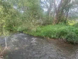 ca. 1 hectare perceel nabij recreatieoord Klein Hörselberg - Wutha-Farnroda - Duitsland