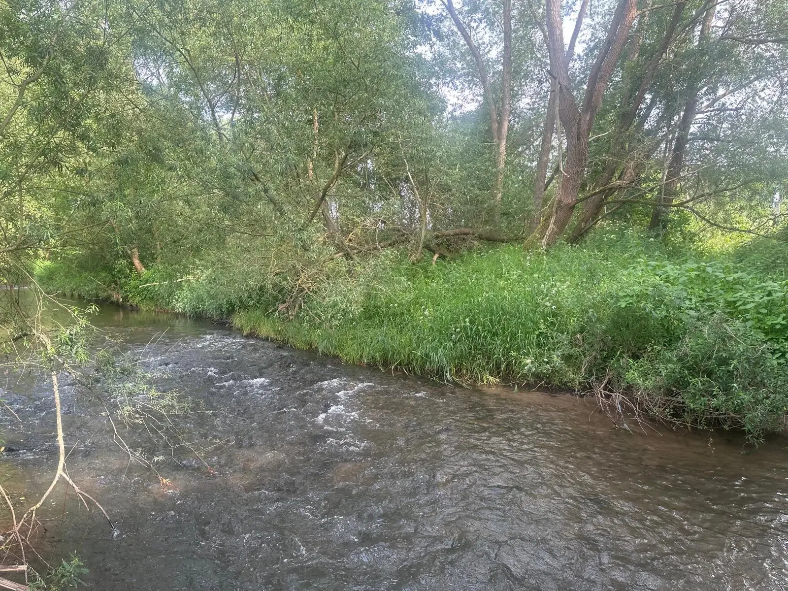 ca. 1 hectare perceel nabij recreatieoord Klein Hörselberg - Wutha-Farnroda - Duitsland