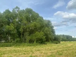 ca. 1 hectare perceel nabij recreatieoord Klein Hörselberg - Wutha-Farnroda - Duitsland