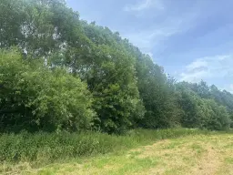 ca. 1 hectare perceel nabij recreatieoord Klein Hörselberg - Wutha-Farnroda - Duitsland