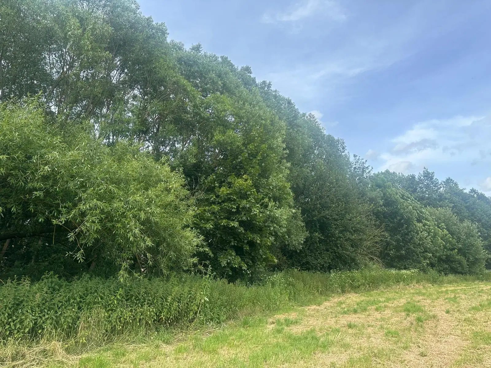 ca. 1 hectare perceel nabij recreatieoord Klein Hörselberg - Wutha-Farnroda - Duitsland