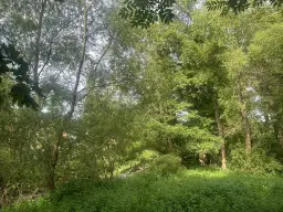 ca. 1 hectare perceel nabij recreatieoord Klein Hörselberg - Wutha-Farnroda - Duitsland