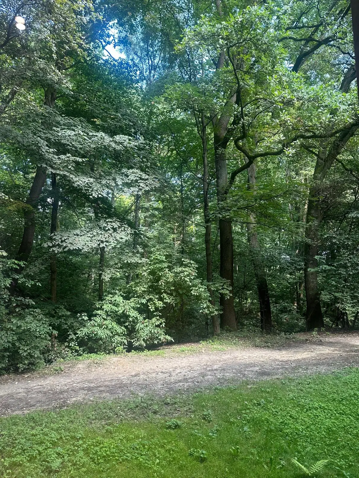 ca. 1 hectare perceel nabij recreatieoord Klein Hörselberg - Wutha-Farnroda - Duitsland