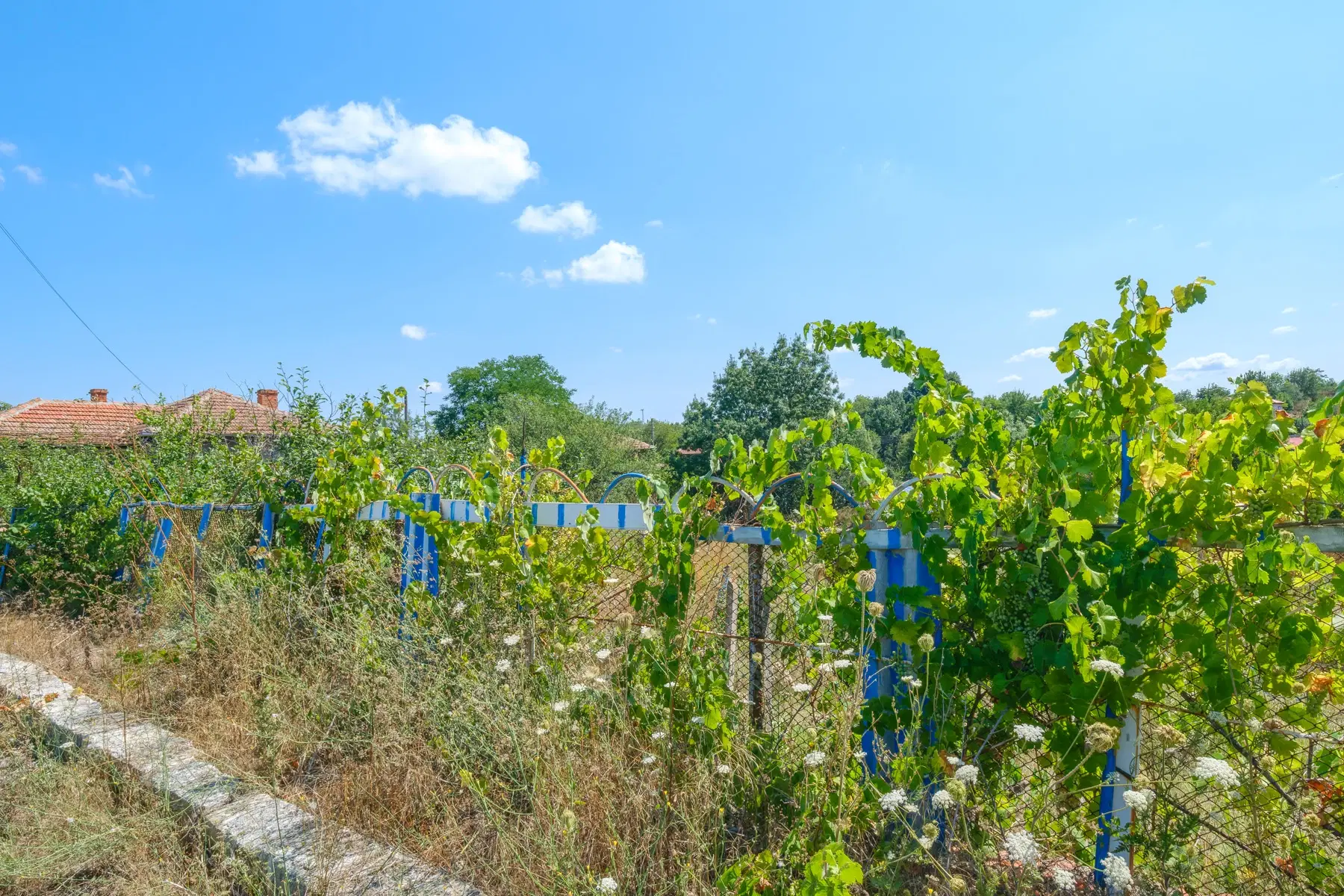 Huis op 2.040 m2 grond in Razdel - Bulgarije