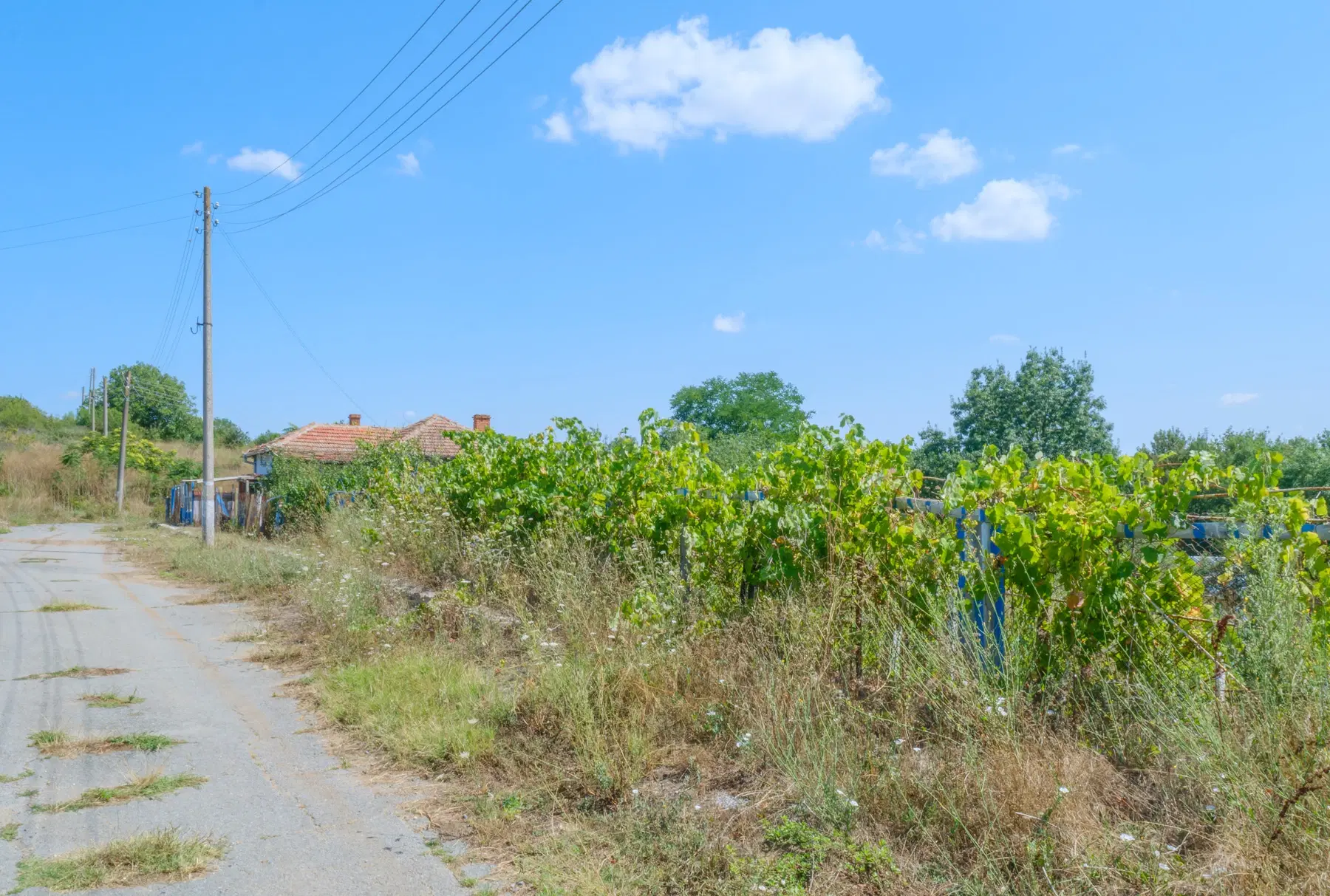 Huis op 2.040 m2 grond in Razdel - Bulgarije