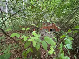 Vooroorlogse bunker met gezamenlijk 6.198 m2 percelen - Kittelstahl - Duitsland
