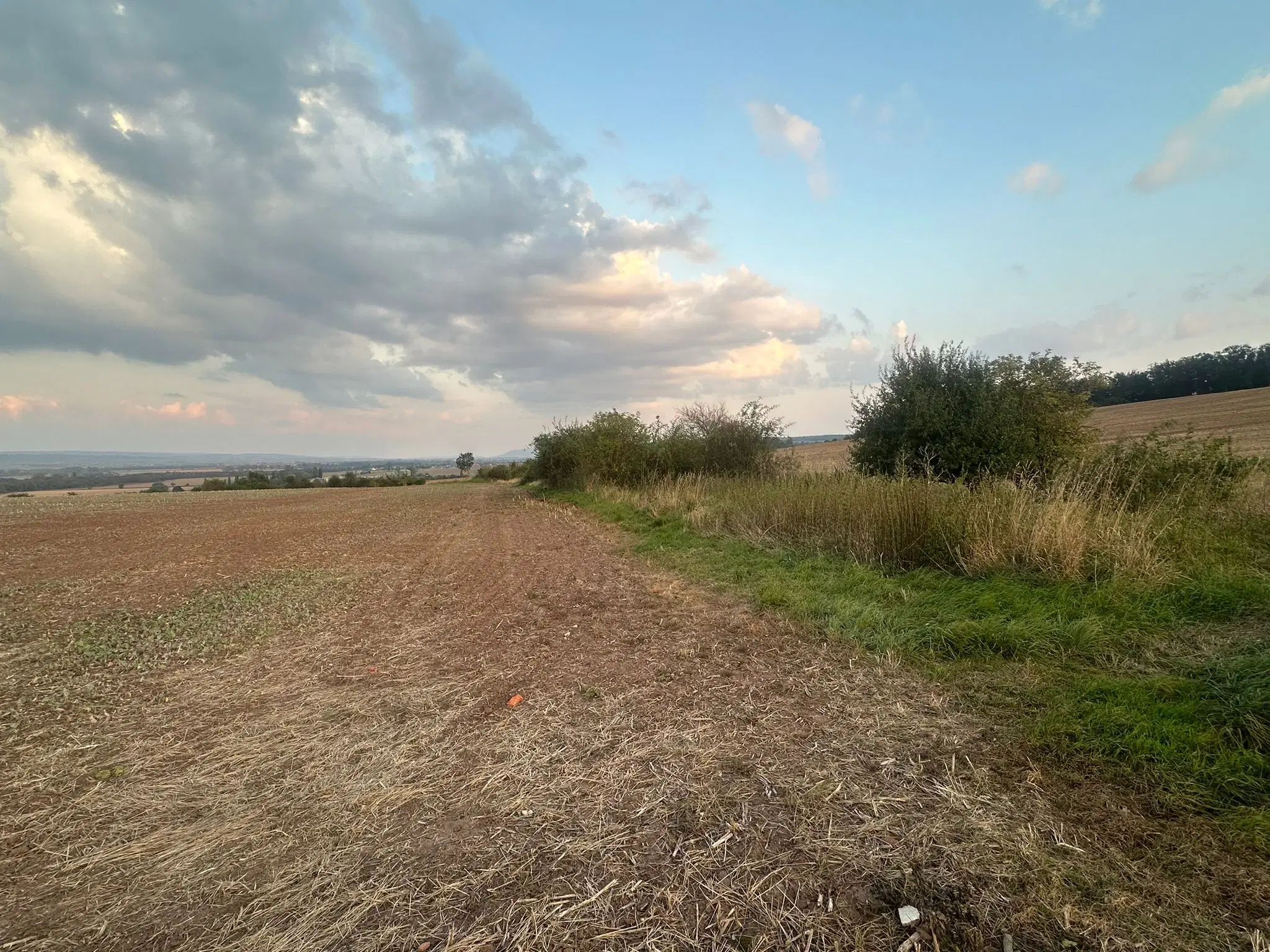 Perceel van 8.548 m² Akkerbouwgrond met Struiksingel in Uthleben (99765) - Duitsland