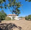 Boerderij, 3 huizen, bijgebouwen en 3.320 m2 met wijngaarden in Kladensti, Dobrich - Bulgarije