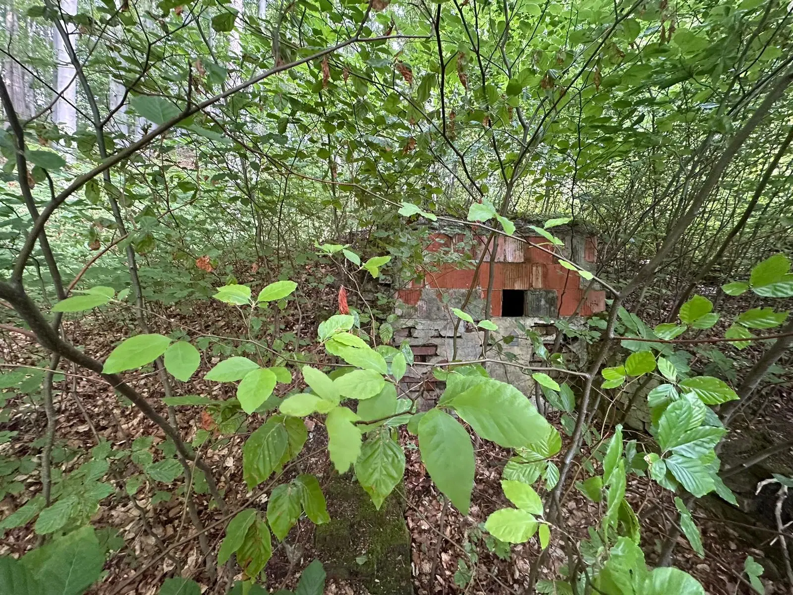 Vooroorlogse bunker met gezamenlijk 6.198 m2 percelen - Kittelstahl - Duitsland