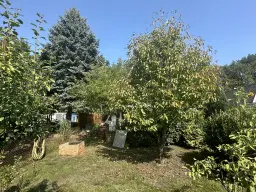 Ruime bungalow Weißwasser - Duitsland