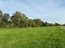 Ca. 1.6 hectare grasland nabij Leipzig - Nemt - Duitsland