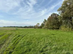 Ca. 1.6 hectare grasland nabij Leipzig - Nemt - Duitsland