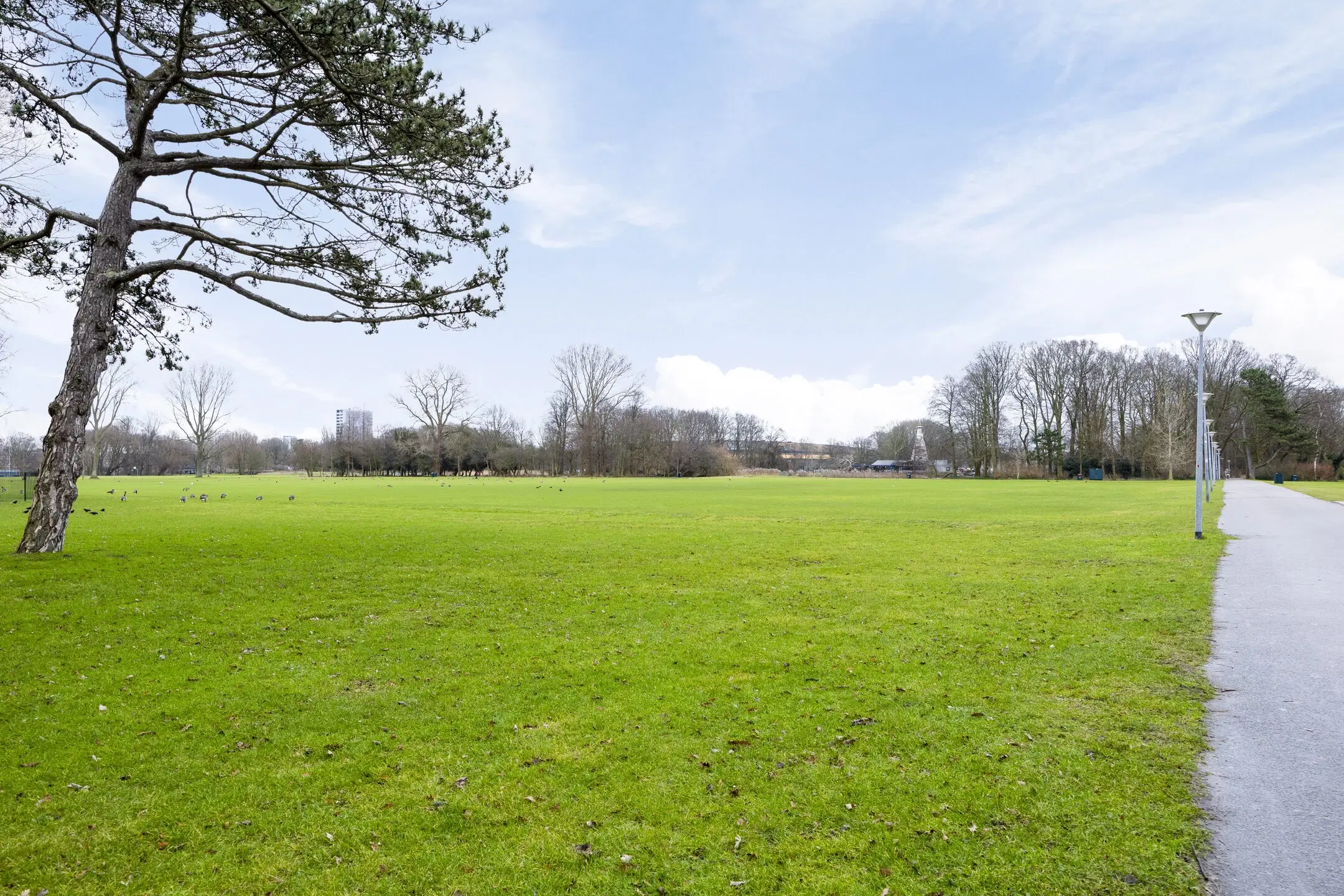 's-Gravenhage, Larensestraat 126