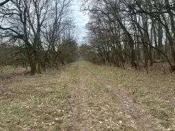 Voormalig DB-station met B&B-potentie en bedrijfsruimte van ca. 680 m² op 1,2 ha perceel in Grambow - Duitsland