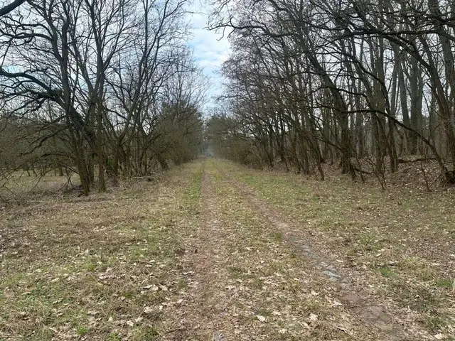 Voormalig DB-station met B&B-potentie en bedrijfsruimte van ca. 680 m² op 1,2 ha perceel in Grambow - Duitsland