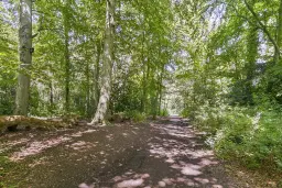 Landhuis Endymion (Koepellaan 2) te Bloemendaal