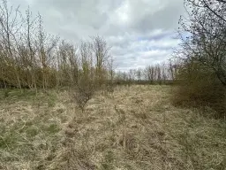 Perceel van 16.983 m2 vol charme en historie in Oschersleben, nabij Maagdenburg, Duitsland