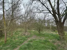 Perceel van 16.983 m2 vol charme en historie in Oschersleben, nabij Maagdenburg, Duitsland