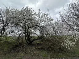 Perceel van 16.983 m2 vol charme en historie in Oschersleben, nabij Maagdenburg, Duitsland