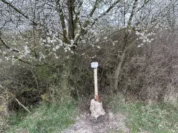 Perceel van 16.983 m2 vol charme en historie in Oschersleben, nabij Maagdenburg, Duitsland