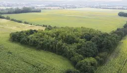 Perceel van 16.983 m2 vol charme en historie in Oschersleben, nabij Maagdenburg, Duitsland