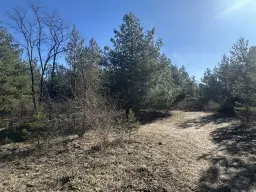 2 vrije percelen van totaal 4.710 m² in Spremberg, Brandenburg - Duitsland