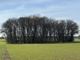 5 percelen van totaal 5.659 m² in Unterwellenborn, Thüringen - Duitsland