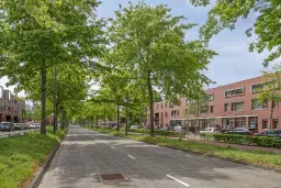 Eindhoven, Graspieper 81