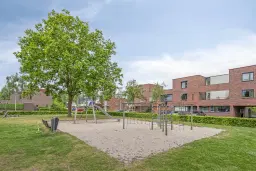 Eindhoven, Graspieper 81