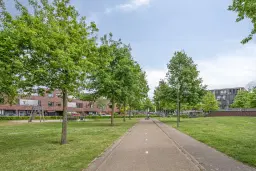 Eindhoven, Graspieper 81