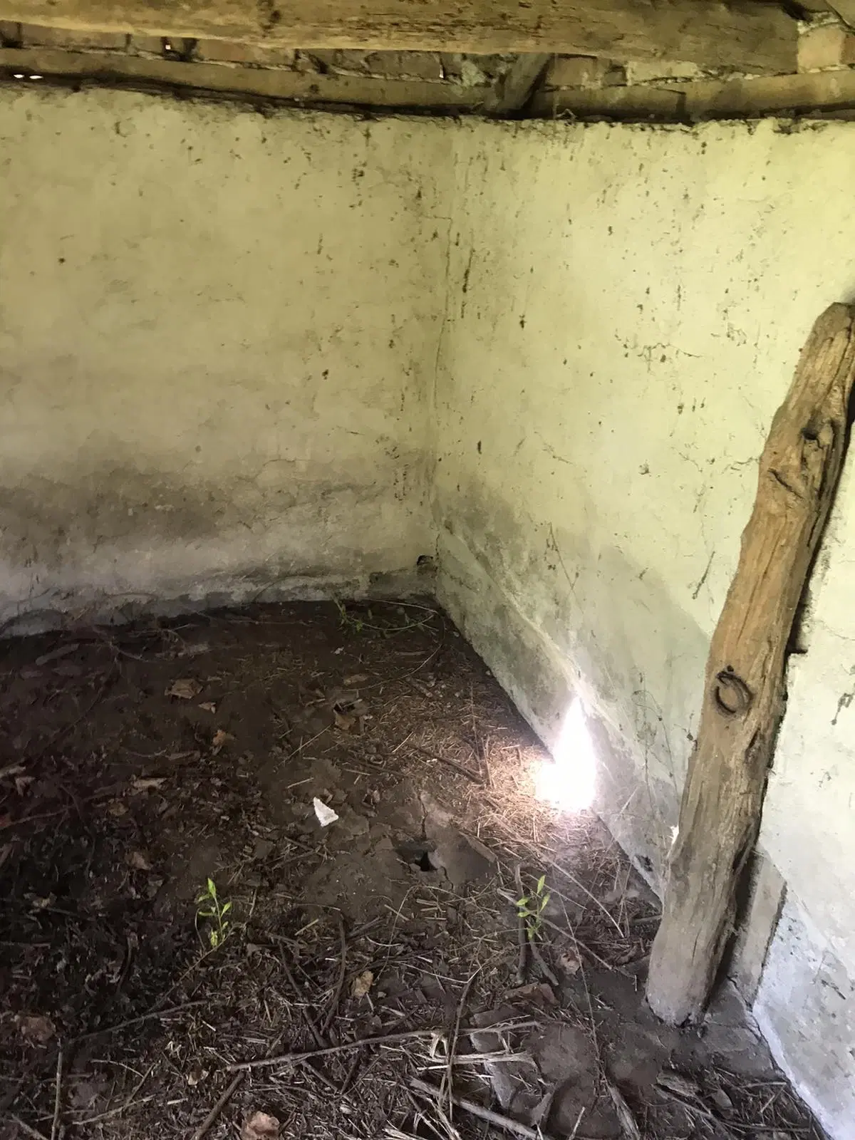 Authentiek 100 jaar oud landelijk huis + 1.006 m² grond in Glavan, Silistra - Bulgarije