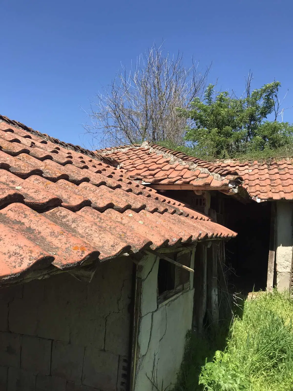 Authentiek 100 jaar oud landelijk huis + 1.006 m² grond in Glavan, Silistra - Bulgarije