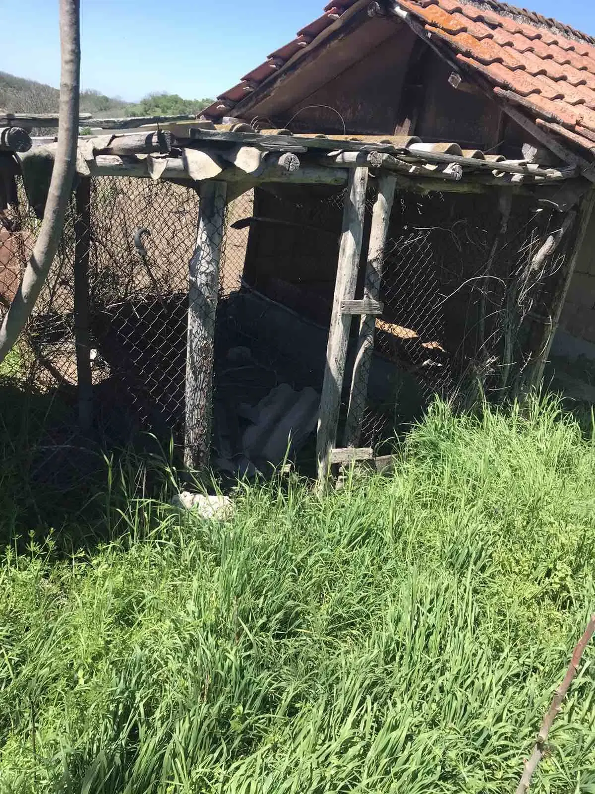 Authentiek 100 jaar oud landelijk huis + 1.006 m² grond in Glavan, Silistra - Bulgarije