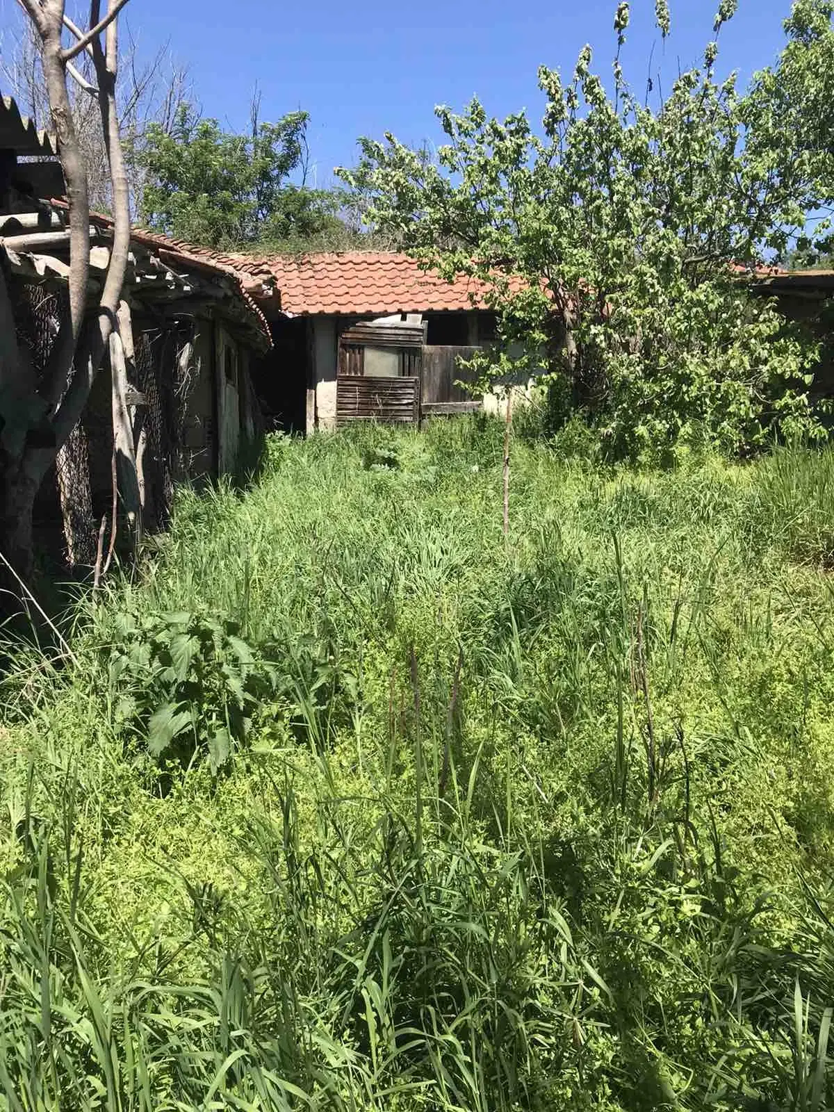 Authentiek 100 jaar oud landelijk huis + 1.006 m² grond in Glavan, Silistra - Bulgarije