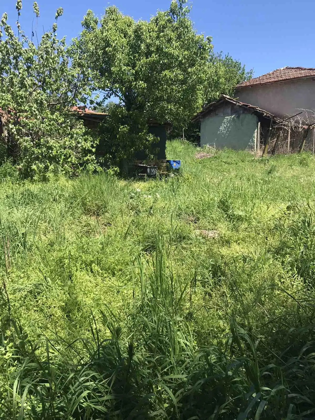 Authentiek 100 jaar oud landelijk huis + 1.006 m² grond in Glavan, Silistra - Bulgarije
