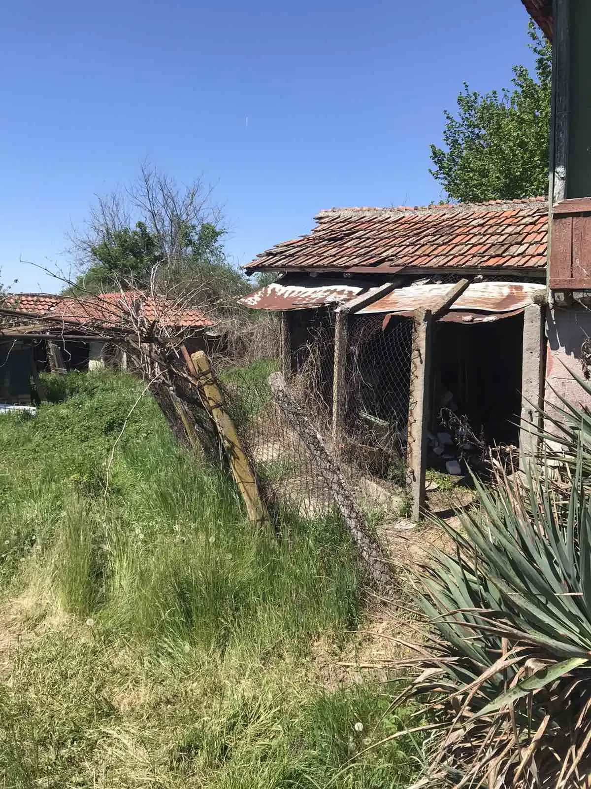 Authentiek 100 jaar oud landelijk huis + 1.006 m² grond in Glavan, Silistra - Bulgarije