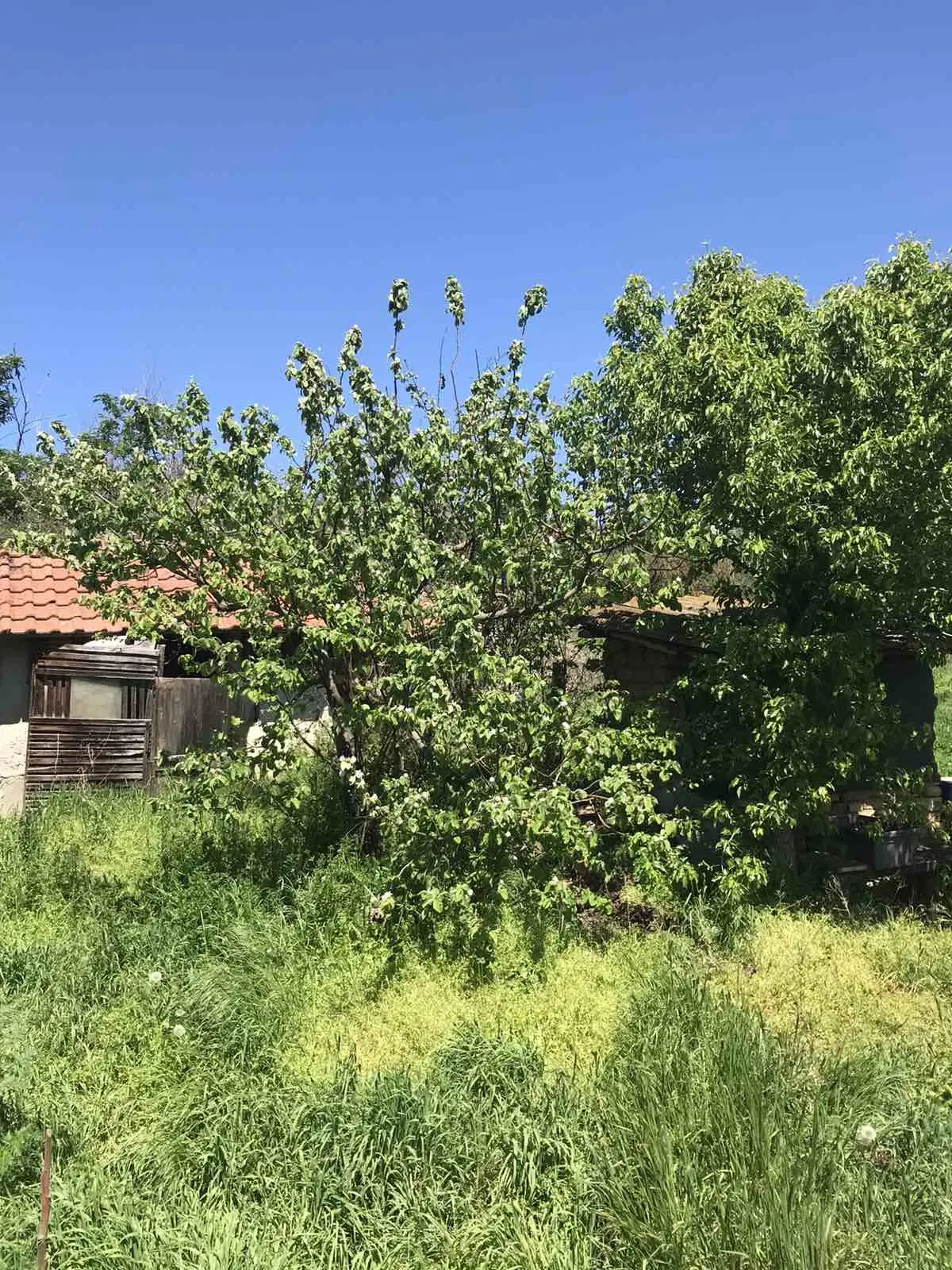 Authentiek 100 jaar oud landelijk huis + 1.006 m² grond in Glavan, Silistra - Bulgarije