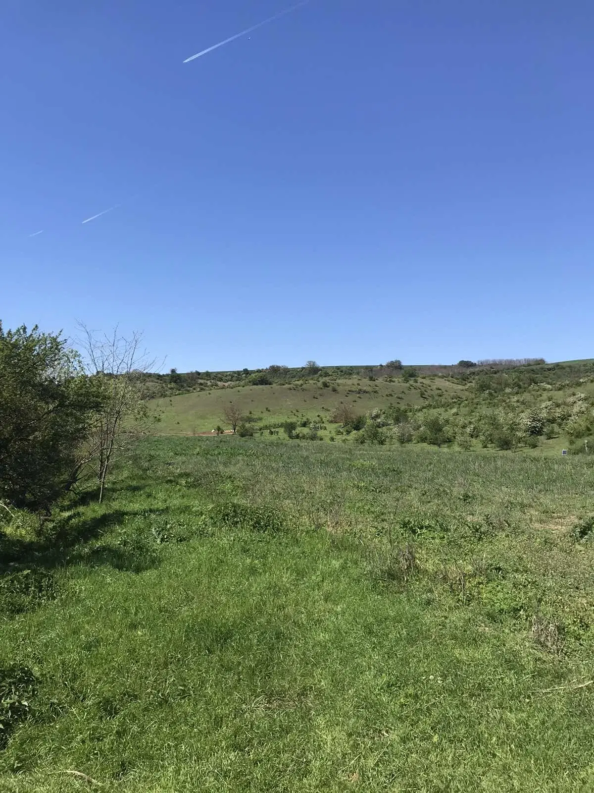 Authentiek 100 jaar oud landelijk huis + 1.006 m² grond in Glavan, Silistra - Bulgarije