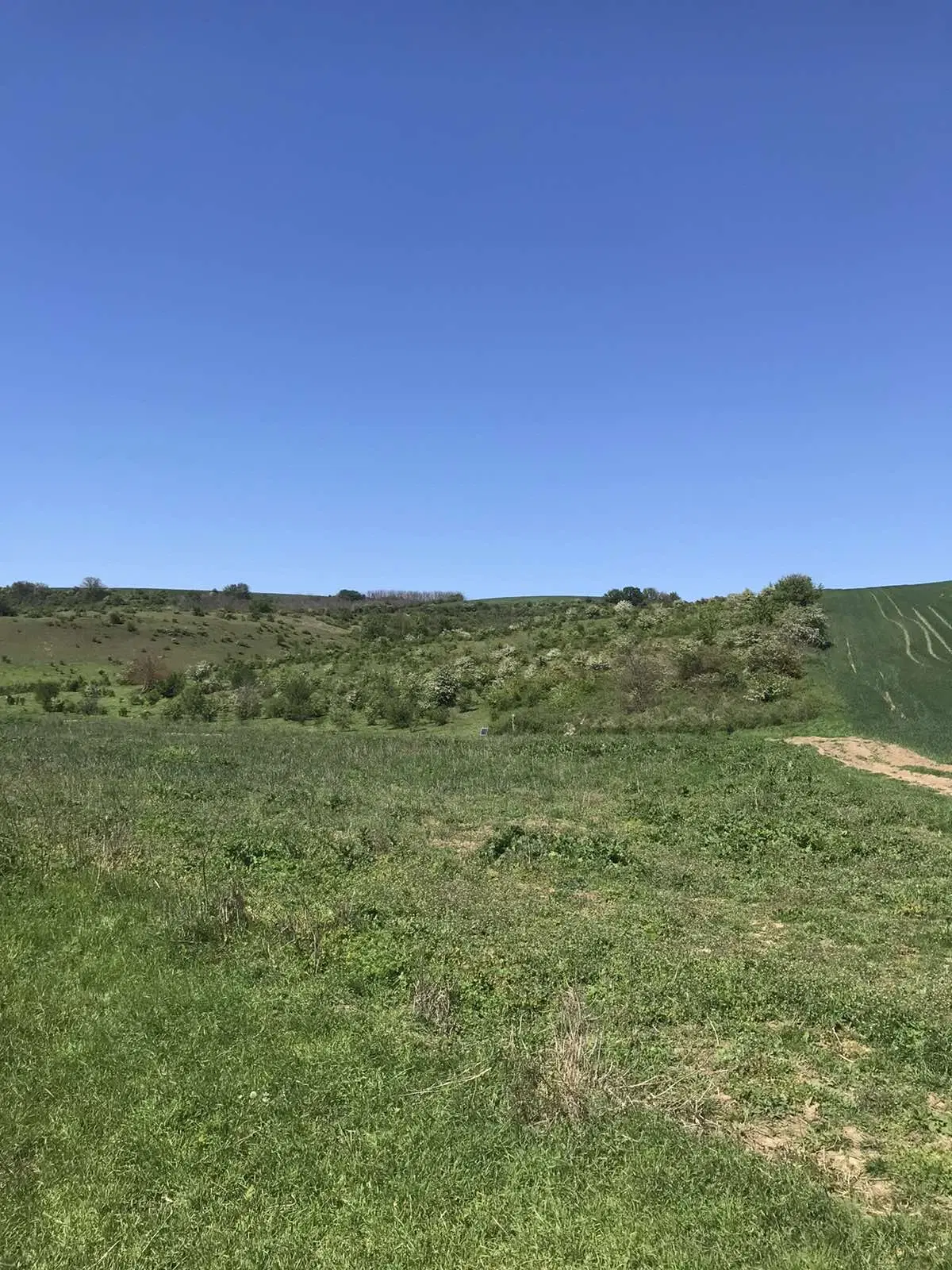 Authentiek 100 jaar oud landelijk huis + 1.006 m² grond in Glavan, Silistra - Bulgarije