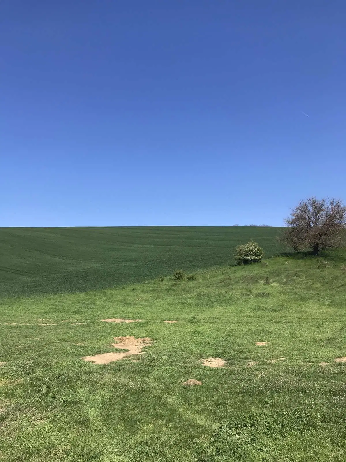 Authentiek 100 jaar oud landelijk huis + 1.006 m² grond in Glavan, Silistra - Bulgarije