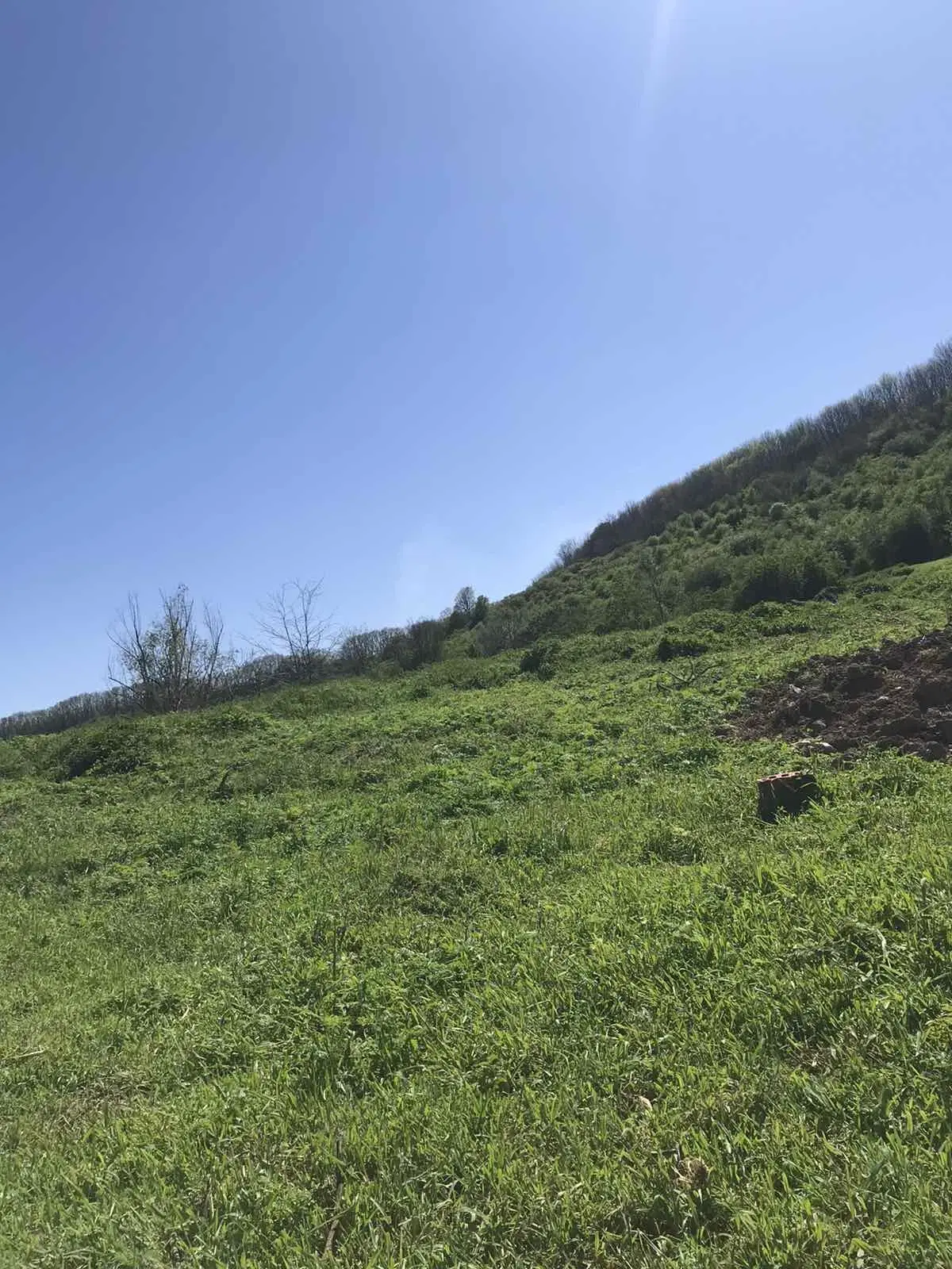 Authentiek 100 jaar oud landelijk huis + 1.006 m² grond in Glavan, Silistra - Bulgarije