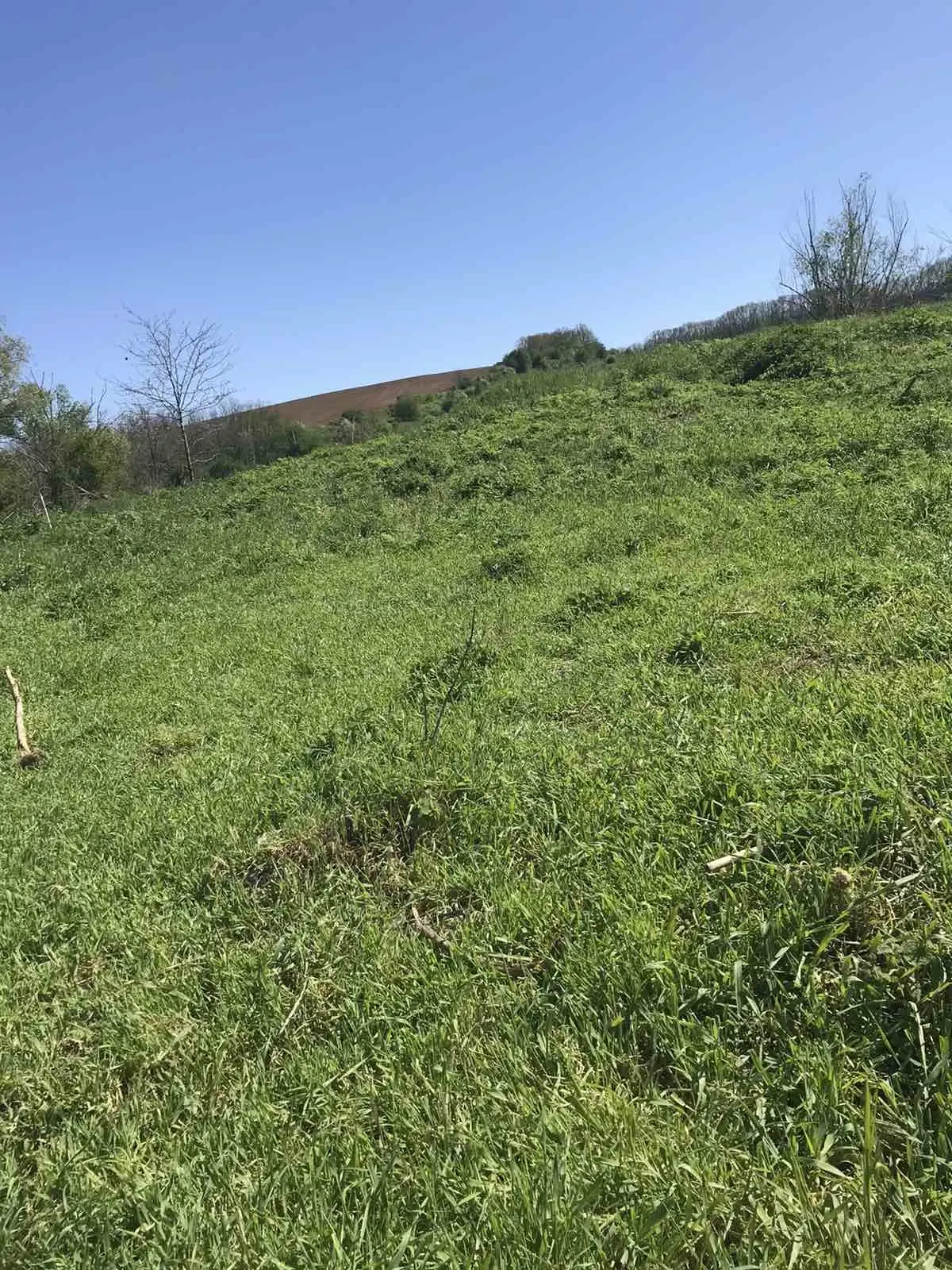 Authentiek 100 jaar oud landelijk huis + 1.006 m² grond in Glavan, Silistra - Bulgarije