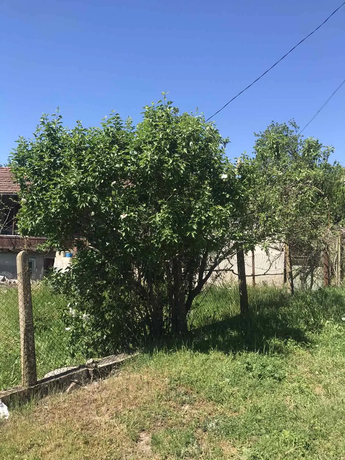 Authentiek 100 jaar oud landelijk huis + 1.006 m² grond in Glavan, Silistra - Bulgarije